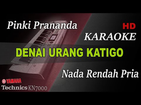 DENAI URANG KATIGO - PINKI PRANANDA ( NADA RENDAH PRIA ) || KARAOKE