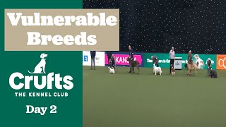 Vulnerable Breed Competition Final | Crufts 2025