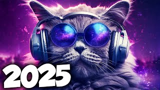 MÚSICA ELETRÔNICA 2025 🔥 ELETRÔNICAS 2025 MAIS TOCADAS 🔥 Alok, Vintage Culture & David Guetta