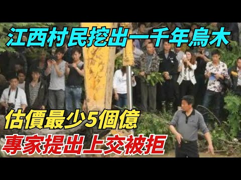 江西村民挖出一根千年烏木，估價最少5個億，專家提出上交被拒【異聞獵手】#奇聞#案件#真相#揭秘#秘事#故事#奇聞觀察室#案件解讀