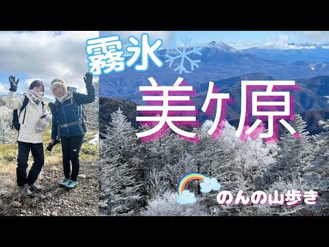 【初冬の登山】霧氷❄の美ヶ原は美しかった♪