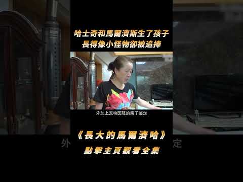 哈士奇和馬爾濟斯生了孩子，長得像小怪物，卻被韓國網友瘋狂追捧#shorts