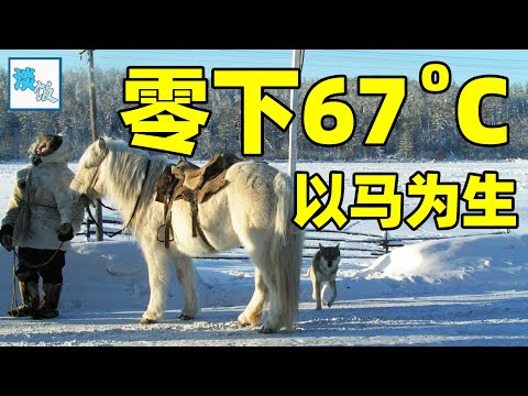 雅库特人：在零下67度的西伯利亚，三个月抓了1500只野兔｜淡饭电影