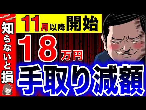 【11月から】手取りが減額！！法改正で天引きの税金が衝撃の結果に！【社会保険/厚生年金/強制加入】