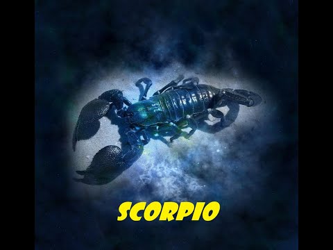 SCORPIO MONTHLY HOROSCOPE JANUARY 2025-SEEK ADVICE/HELP  WORK TOGETHER.#fyp #scorpio tarot#love