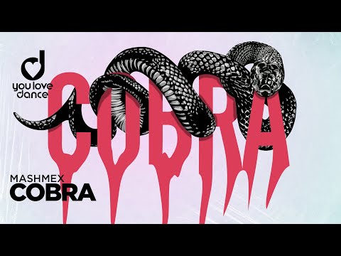 Mashmex - Cobra