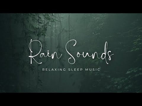 Relaxing Rain Sounds for Sleep | Calm Rainy Day Ambience