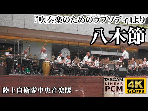 Japanese folk music "Yagibushi" 🥁 Japanese Army Band