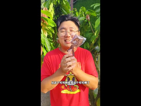 参观沙巴斗湖最大的可可厂，DIY 巧克力！ - Teck Guan Cocoa Village