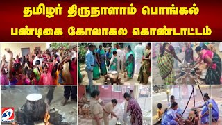 தமிழர் திருநாளாம் பொங்கல் பண்டிகை கோலாகல கொண்டாட்டம்.... | 2025 pongal avaniyapuram jallikattu 2025