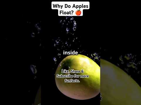 Why Do Apples Float? 🍎 #superfood #superfoodsecrets