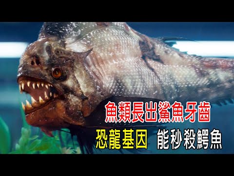 魚類長出88顆鯊魚牙齒，恐龍基因渾身肌肉，能秒殺鰐魚，大海被占領！