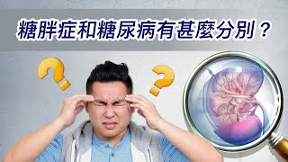 30.糖胖症和糖尿病有甚麼分別？