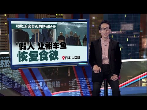 闭馆后没游客造访  翻车鱼患抑郁、食欲不振｜新闻报报看 15/01/2025