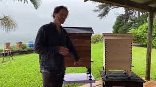 Beginner beekeeping Q&A