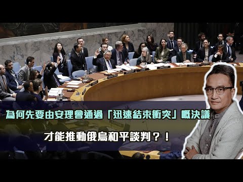 「迅速結束衝突」決議獲安理會通過的啟示⁉️｜1 Mar 2025