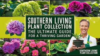 Southern Living Plant Collection: The Ultimate Guide for a Thriving Garden!