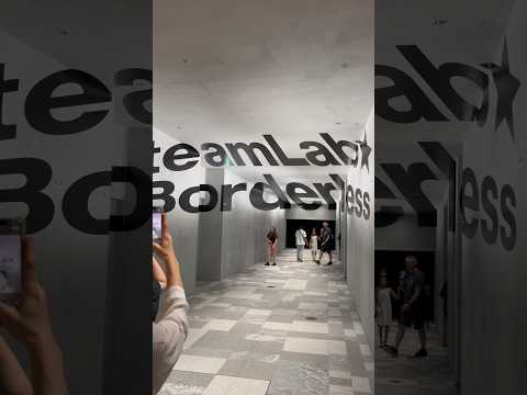 Vacation Tokyo Part 13 - TeamLab Borderless #tokyo #vacation #teamlabborderless #teamlab