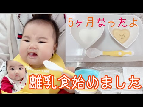 《離乳食初期》5ヶ月になり離乳食始めました😊離乳食作りと作り置きしました。