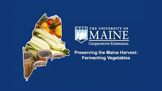 Preserving the Maine Harvest: Fermenting Vegetables