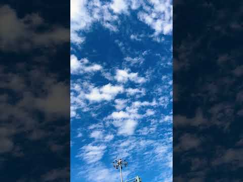 Altocumulus Clouds Sky #ashortaday #youtubeshorts #shorts #clouds #sky #weather #ytshorts #nature