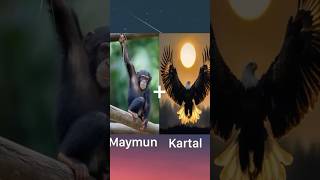 Inceedible animal fusion:mind-blowing #animals #shortsviral #shortvideo #動物#animal world#discovery