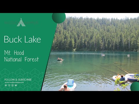 We found the Perfect Swimming Hole in the Mt. Hood National Forest - Buck Lake, Oregon