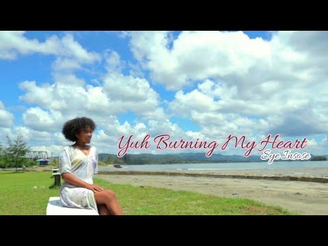 Yuh Burning My Heart Sye Insose - Dave Baransano ( Official Music Video )