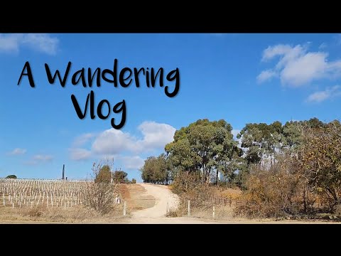 Wandering & Barossa Valley Farmer's Market Gratitude Vlog