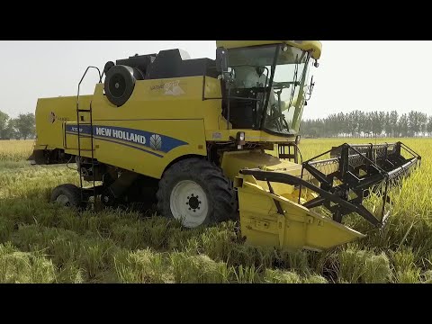 New Holland Combine Harvester | Testimonial Film | Fortune Talkies