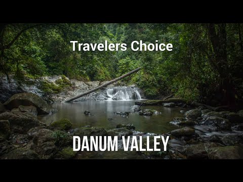 Travelers Choice: Danum Valley || Places To Travel In Malaysia