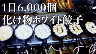 【ホワイト餃子】1日平均6000個!全国から注文が入る有名餃子店に潜入!自宅での焼き方も参考にもなります White gyoza