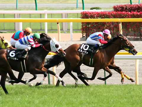 競馬　ファンファーレ集