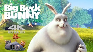 Big Buck Bunny การ์ตูน ‪แอนิเมชั่น Animation Foundation Short Film  Thailand