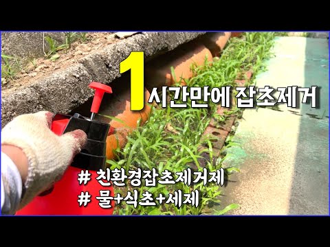 천연잡초제거제 1시간만에 효과 보이네요. 식초로 잡초제거 / countryside, vinegar, gardening, farming