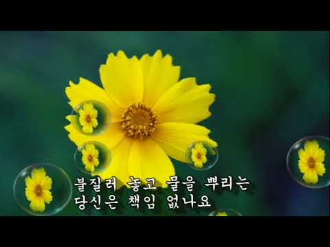 주현미 ~ 뜻밖의 이별