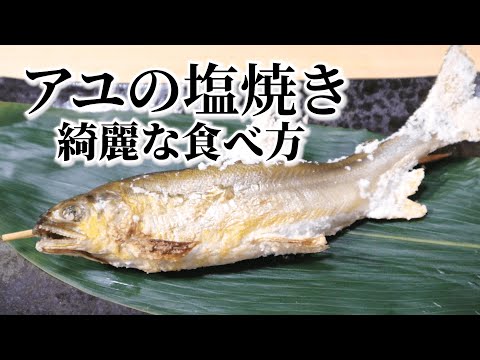 【鮎の塩焼きの綺麗な食べ方】グリルで焼く方法と簡単骨抜き