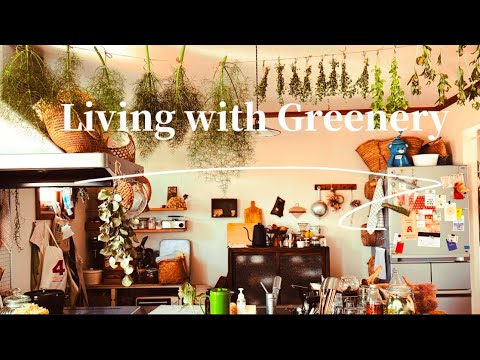 [Living vlog] Making dried herbs / Eating a healthy diet / Greenery in your life