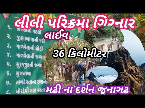 Girnar Lili Parikrama 2024 | Girnar પરિક્રમા || લાઈવ પરિક્રમા જૂનાગઢ || lili parikrama itihas #vlogs