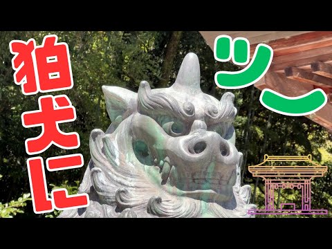 【狛犬にツノがある神社】～愛媛県宇和島市和霊神社～ #狛犬 #ツノ #和霊神社