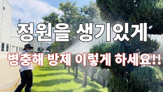 정원수 각종 병충해 방제 방법 각종 나무 병충해 예방 방법 살충 살균제 살포 방법 정원을 생기있고 아름답게 유지할수 있는 방밥