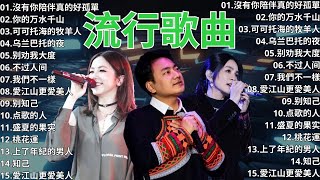 2024流行歌曲 ▶️ 大陸流行歌曲 2024流行歌曲 ⏩ 無廣告 🎶 2024最新歌曲 - 沒有你陪伴真的好孤單, 你的万水千山, 可可托海的牧羊人