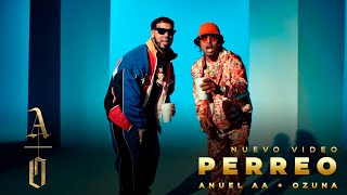 @AnuelAA & Ozuna - PERREO