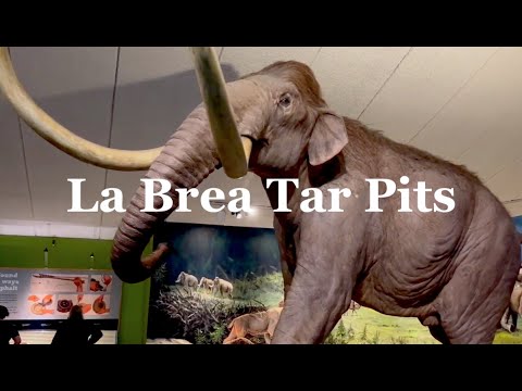 La Brea Tar Pits Museum: “It really is the story of Ice Age Los Angeles from 50,000 years ago..”