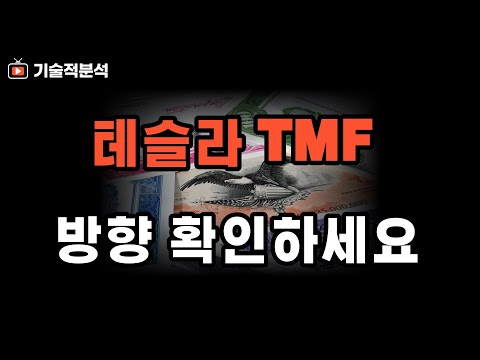 SOXL 테슬라 TMF 단기 추세 이탈?! ｜향후 방향성 확인하세요!