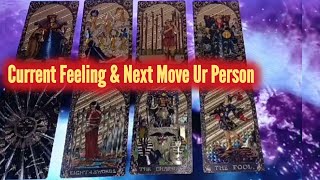 No Contact 🚫📞☎️ Their Feelings & Thoughts 💖💞Next Move💓 Timeless Tarot 💖🩷 Hindi-Urdu 💖