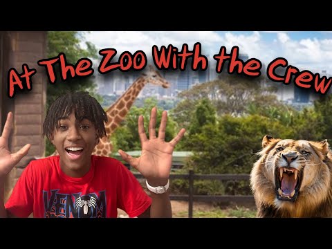 🦁Phunko Brownz At The Zoo With the Crew🐘