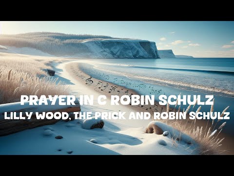 Lilly Wood, The Prick and Robin Schulz - Prayer In C Robin Schulz (Lyrics)