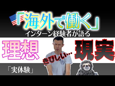 【実体験】海外で働きたい人必見「インターンの理想と現実」| ビザ・英語のことも[アメリカ生活]