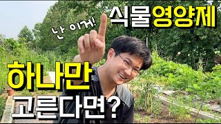 가든킹이 고른 단 하나의 식물 영양제!😺🧑🏼‍🌾 (오천 구독자🍀이벤트☘️)